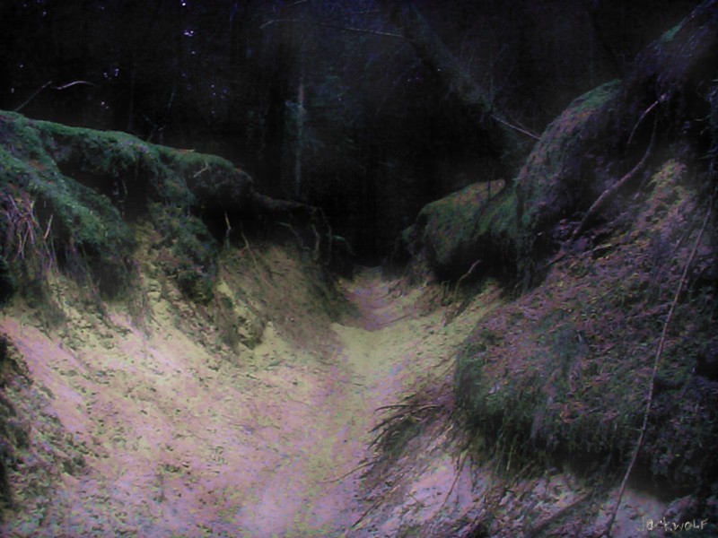 wolfspfad.jpg